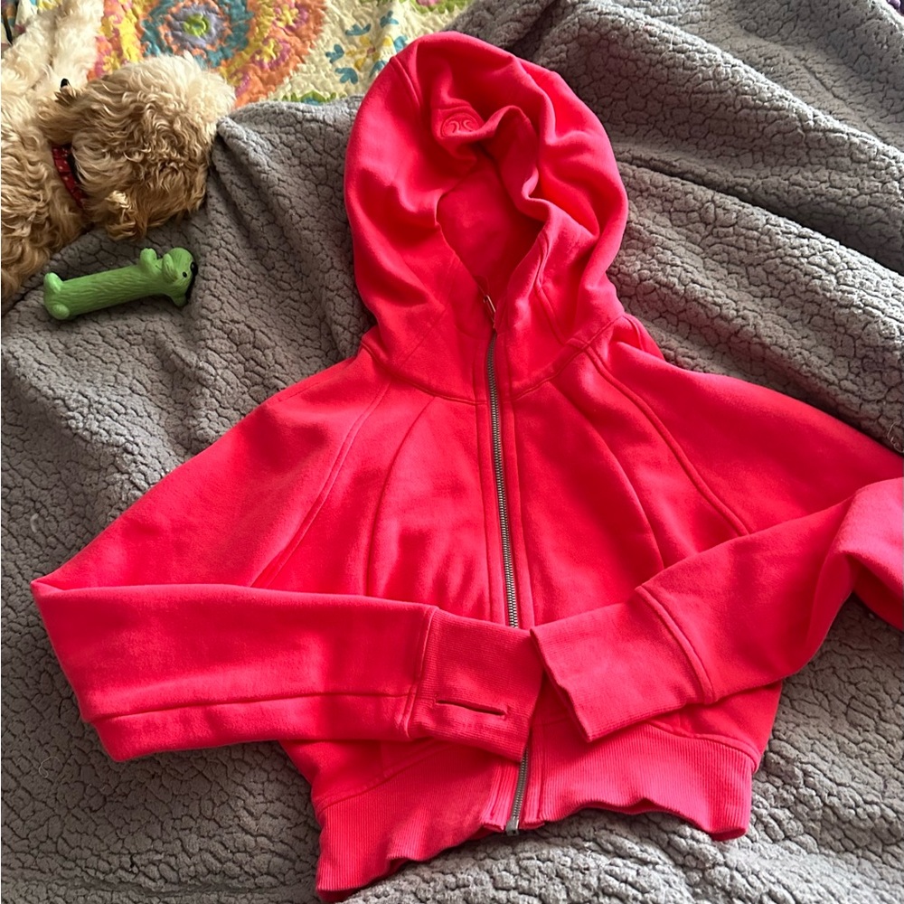Lipgloss cropped full zip scuba
